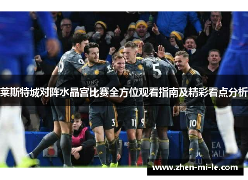 莱斯特城对阵水晶宫比赛全方位观看指南及精彩看点分析