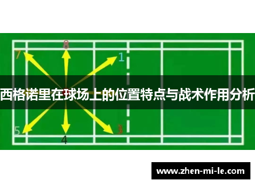 西格诺里在球场上的位置特点与战术作用分析