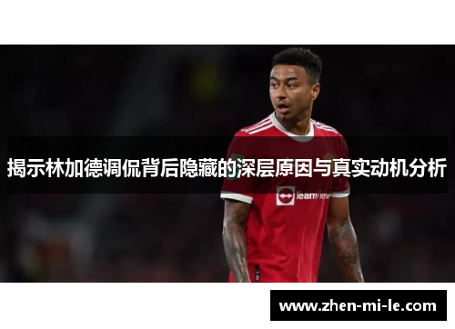 揭示林加德调侃背后隐藏的深层原因与真实动机分析 揭示林加德调侃背后隐藏的深层原因与真实动机分析