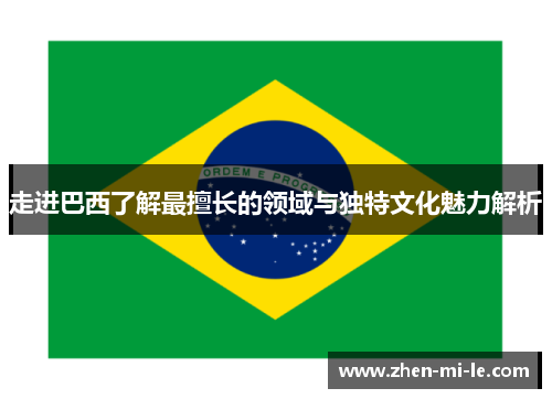 走进巴西了解最擅长的领域与独特文化魅力解析