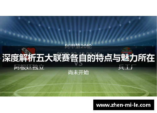 深度解析五大联赛各自的特点与魅力所在