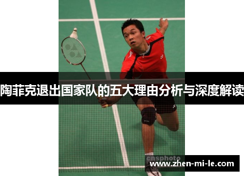陶菲克退出国家队的五大理由分析与深度解读 陶菲克退出国家队的五大理由分析与深度解读