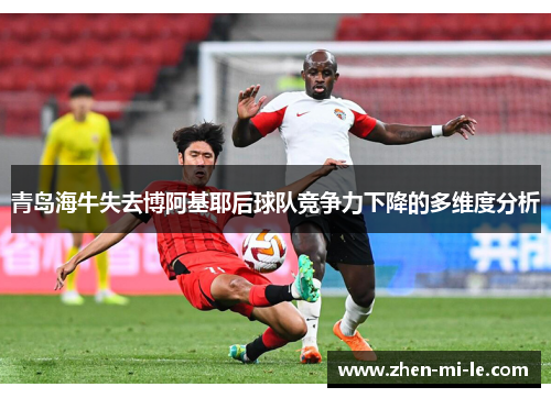 青岛海牛失去博阿基耶后球队竞争力下降的多维度分析 青岛海牛失去博阿基耶后球队竞争力下降的多维度分析