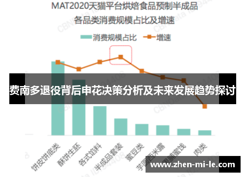 费南多退役背后申花决策分析及未来发展趋势探讨